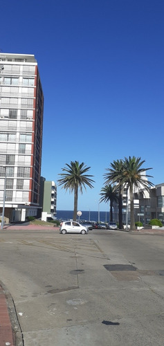 Imagen 10 de 14 de Alquilo Temporada Apartamento Punta Del Este Peninsula