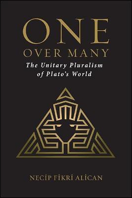 Libro One Over Many : The Unitary Pluralism Of Plato's Wo...
