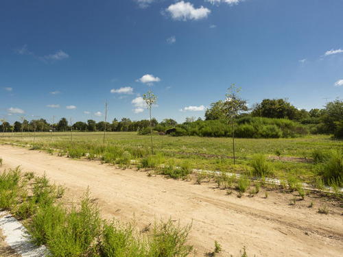 Lote 17 Villa Chica