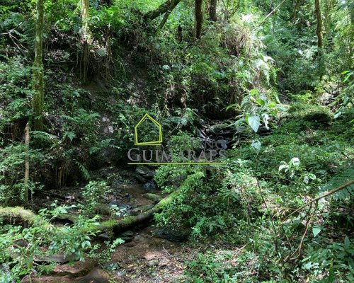 Imagem 13 de 25 de Excelente Terreno Com Cachoeira, Á Venda Em Bom Retiro Sc - Te00033 - 70480671