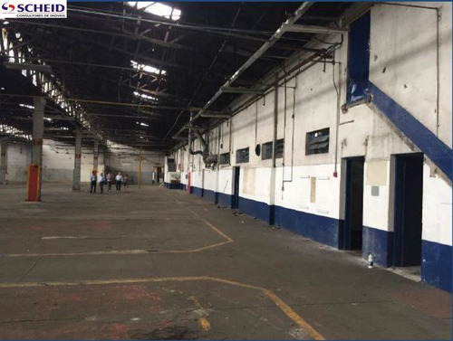 Imagem 2 de 5 de Galpão Com 11.340m² 6 Docas, Refeitório, Vestiário, Enfermaria - Mr51984