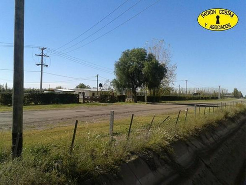 1882sa-lote De 5.000 M2 En San Rafael Mendoza