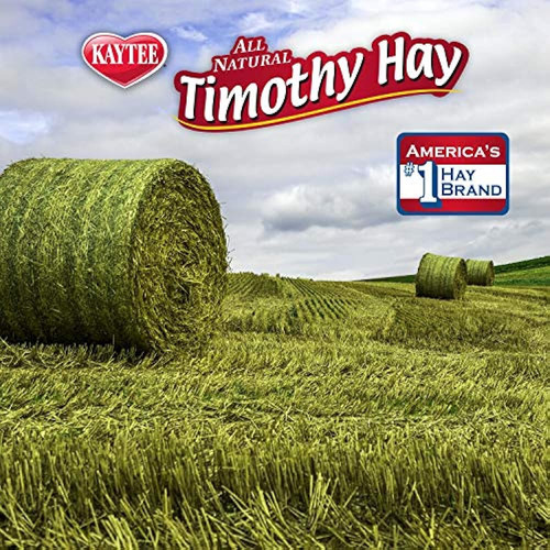 Kaytee Natural Timothy Hay Cubos Para Conejos Animales Peque