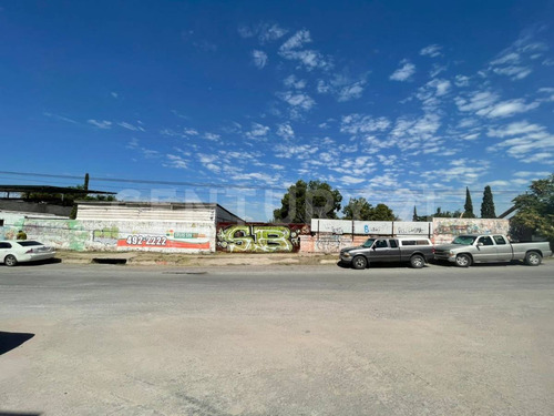 Terreno En Renta Colonia Rosario, Chihuahua