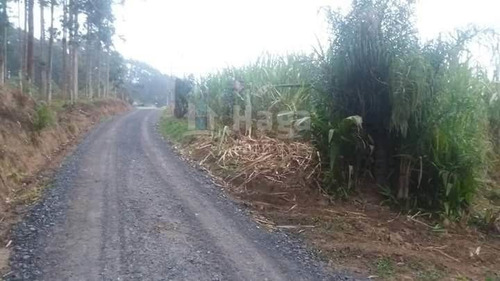 Imagem 9 de 10 de Chácara À Venda Em Vidal Ramos/sc - 1454c