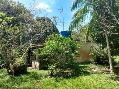 Chácara Na Praia De Itanhaém,confira! 7460 J.a