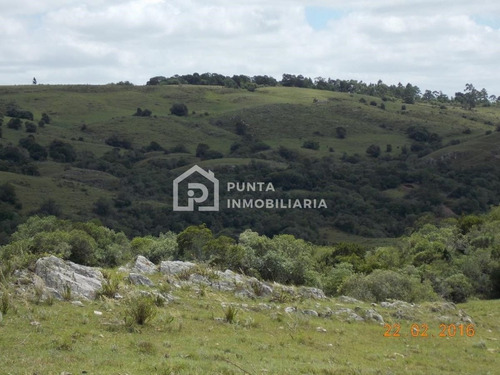 Imagen 23 de 30 de Venta Chacra 96has En Minas, Lavalleja