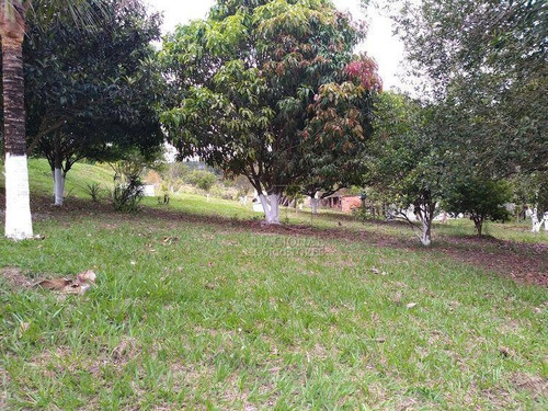 Imagem 6 de 19 de Chácara Com 4 Dormitórios À Venda, 20000 M² Por R$ 456.000,00 - Campo Alegre Iv - Bofete/sp - Ch0021