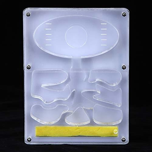 Heepdd Ant Farm, Acrilico Transparente Nido De Hormigas Sist