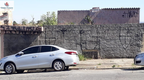 Imagem 3 de 7 de Terreno A Venda No Bairro Vila Nova Cachoeirinha Em São - P0117-1