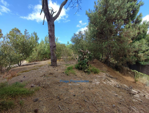 Gran Terreno, Alto Frente Al Arroyo