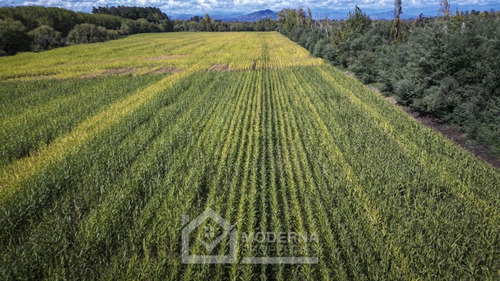 Predio De 87.8 Ha Con Derecho De Agua Y Acceso Asfaltado