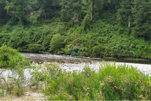 Tu Refugio Natural En Valdivia 26000 M² De Ensueño