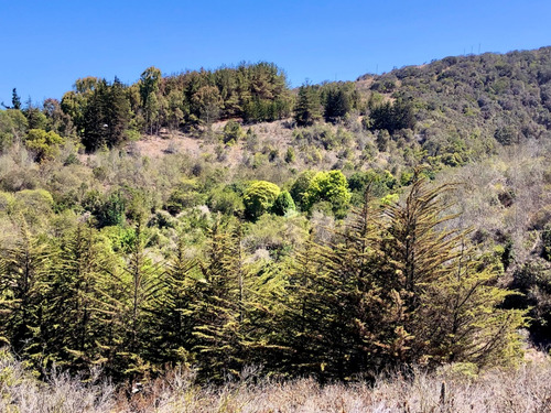 Interesante Propiedad En Venta De 4 Hectáreas En Cachagua