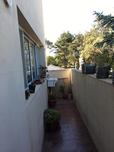 Imagen 14 de 27 de Ph En Venta En Necochea