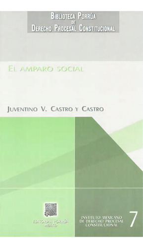 El Amparo Social, De Castro Y Castro, Juventino V.. Editorial Porrúa México, Tapa Blanda En Español, 2005