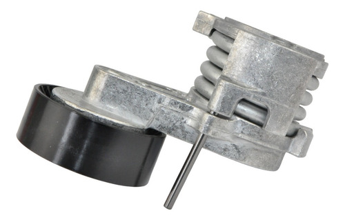 Polea Tensor Banda Motor Bmw 323 05-07, 325 04-11, 330 10-13