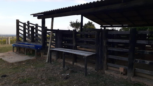 Chácara Com 3 Dormitórios À Venda, 24200 M² Por R$ 900.000 - Benfica - Elias Fausto/sp - Ch0142
