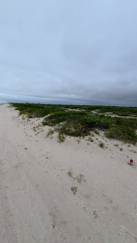 Venta De Terreno Frente Al Mar En Chuburná Puerto
