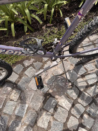 Bicicleta Fiorenza Forest Cl Shimano 6 Cambios R26 Gris (Usado)