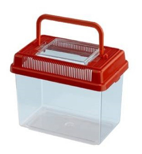 Mini Pecera De Plástico Portátil Económica Para Peces Dorado