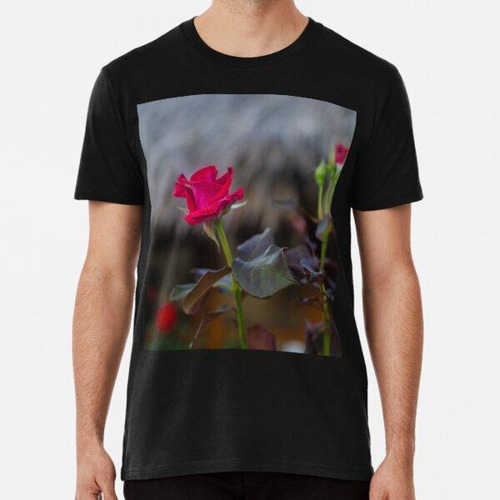 Remera Rose By Elle Mognet  Algodon Premium