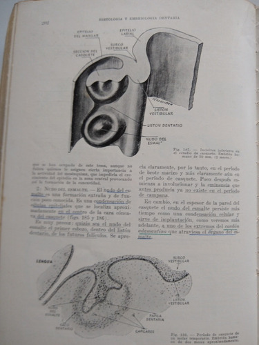 Histología Y Embriología Dentaria De Jorge Erausquin (Usado)