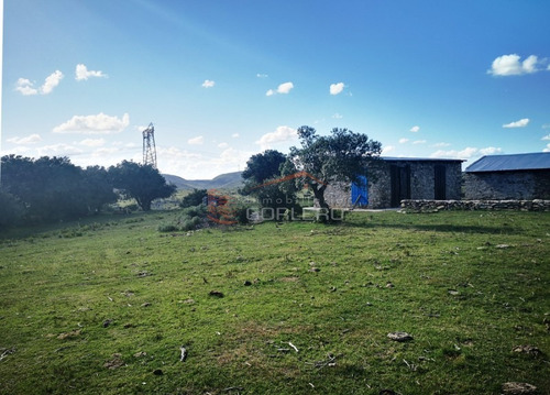 Campo Ganadero En Venta En Maldonado, A 60 Km De Punta Del Este- Ref: 26296