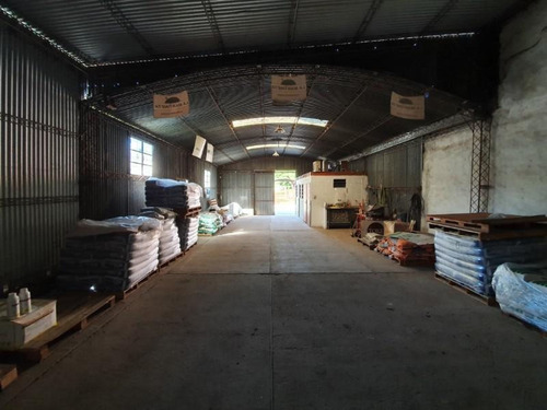 Imagen 3 de 16 de Galpon Sobre Terreno Centrico Mejoras Para Vivienda
