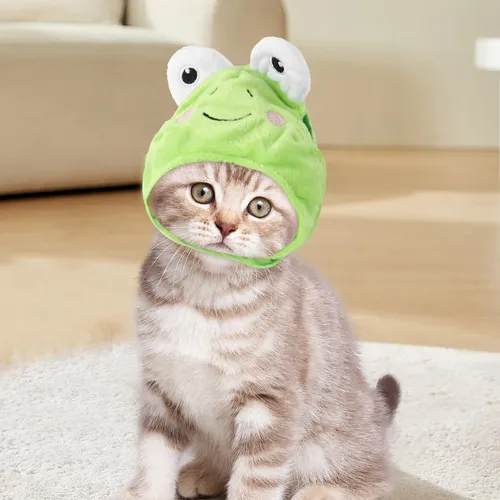 Sombrero De Rana Gato Sombreros Para Perros Y Gatos Sombrero