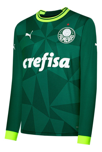 Camiseta Palmeiras 2023 2024 Titular Manga Larga Puma