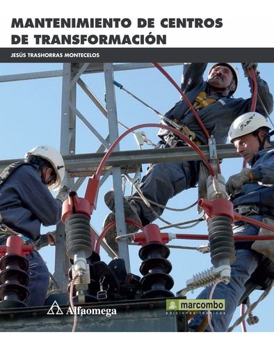 Libro Técnico Mantenimiento De Centros De Transformación 