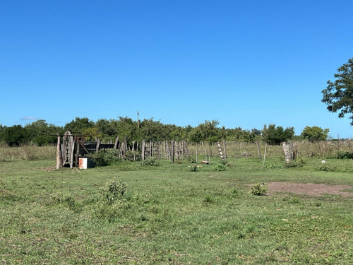 Campo En Venta De 36, 7 Hectáreas Con Manga, Potrero, Molino, Corrales