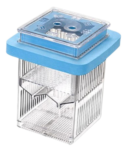 Mãe Fish Incubator Aquário Incubador Azul