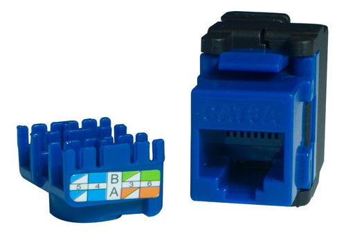 Conector Jack Rj45 Cat6 Powest Hembra Azul Cat6 Netkey