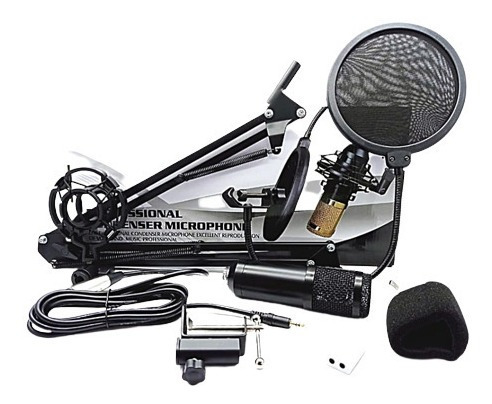 Micrófono Condensador De Estudio Bm800 Plug 3.5mm