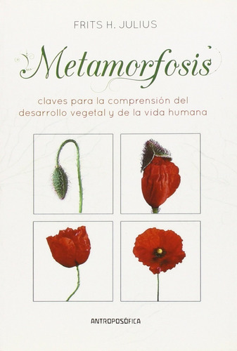 Metamorfosis: Claves Comprensión Desarrollo Vegetal Y Humano