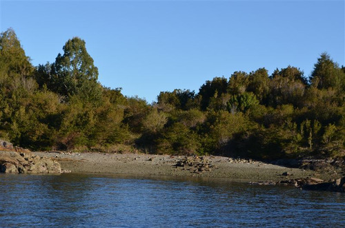 Agrícola En Venta En Hualaihue