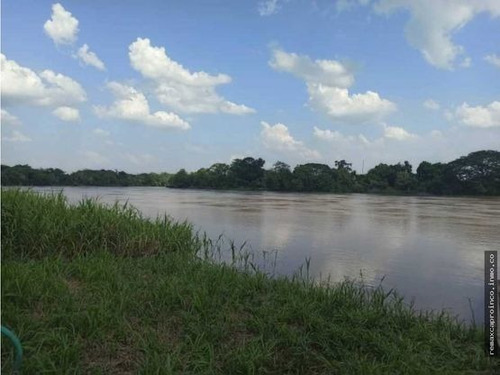 Imagen 8 de 14 de Productiva Finca En Elorza Apure, Acepta Criptomoneda