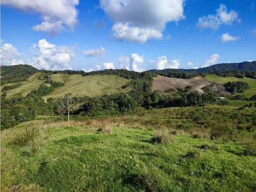 Finca En Venta Carmen De Viboral, Vía La Unión Antioquia 50 Cuadras.