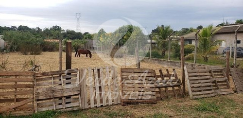 Imagem 4 de 6 de Terreno À Venda Em Recanto Dos Dourados - Te008718