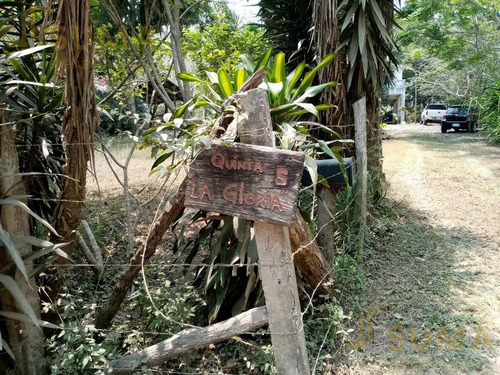 Imagen 2 de 7 de Terreno - Tampico Alto