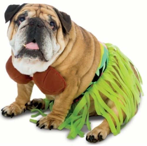 Traje Perro Hula Hula Halloween Nuevo 100% Xtreme P