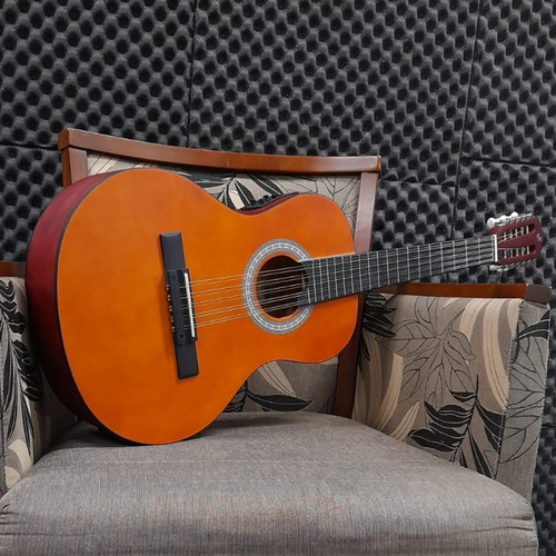 Imagem 6 de 9 de Viola Giannini Eletro Acustica Vs-14 Eq Ns