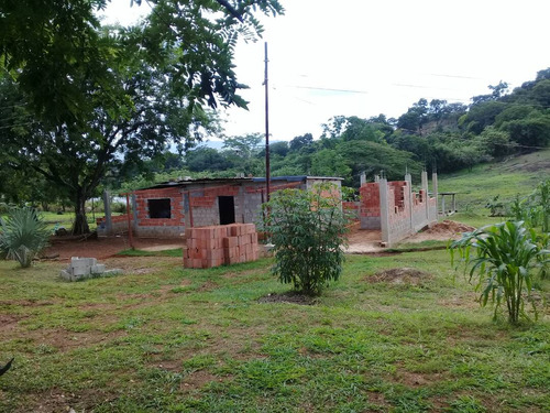 Finca Tinaquillo 