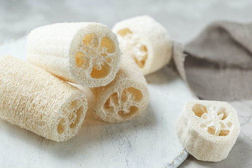 Esponja Vegetal Luffa Exfoliante Cocina Zero Waste Kompost®