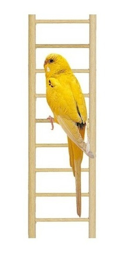Escalera Percha Colgante Madera Aves Argaponis Step 7 Savic