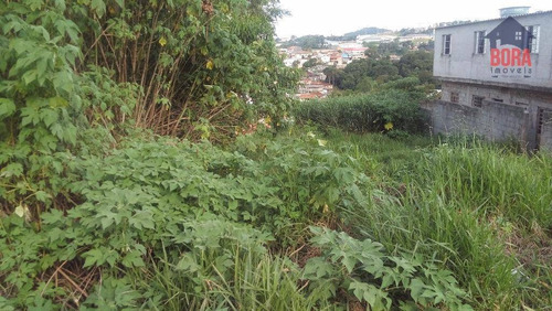 Imagem 5 de 6 de Terreno À Venda, 268 M² Por R$ 140.000 - Terra Preta - Mairiporã/sp - Te0213