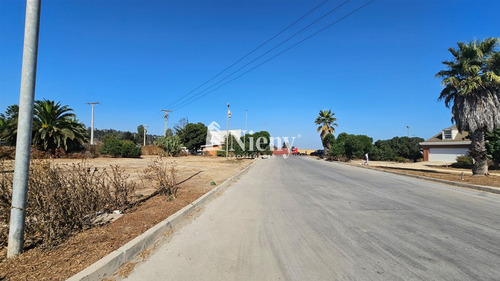 Industrial En Venta En Concón