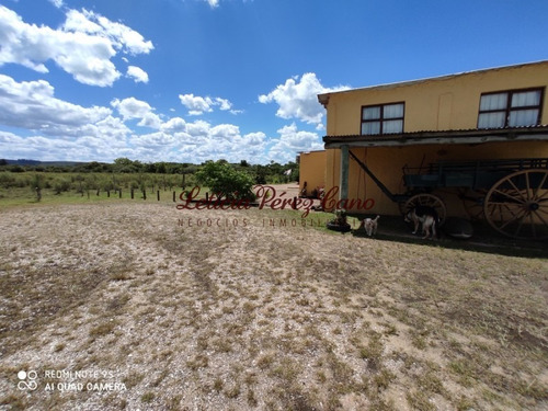 Venta De Chacra Sobre Ruta 9 A 30 Km De Jose Ignacio- Ref: 17546